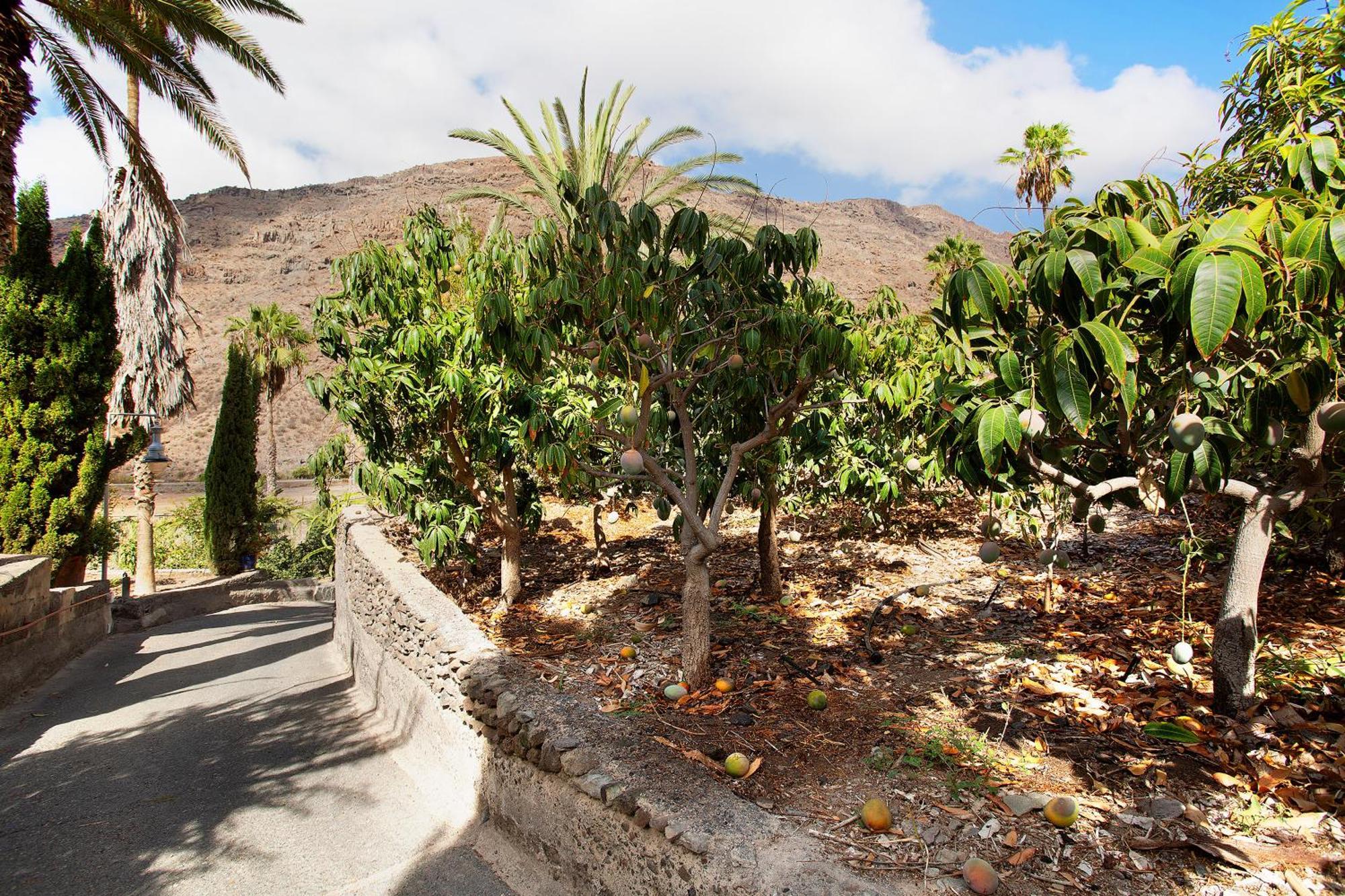 Paraiso Del Molinero Bajo Mogán 外观 照片