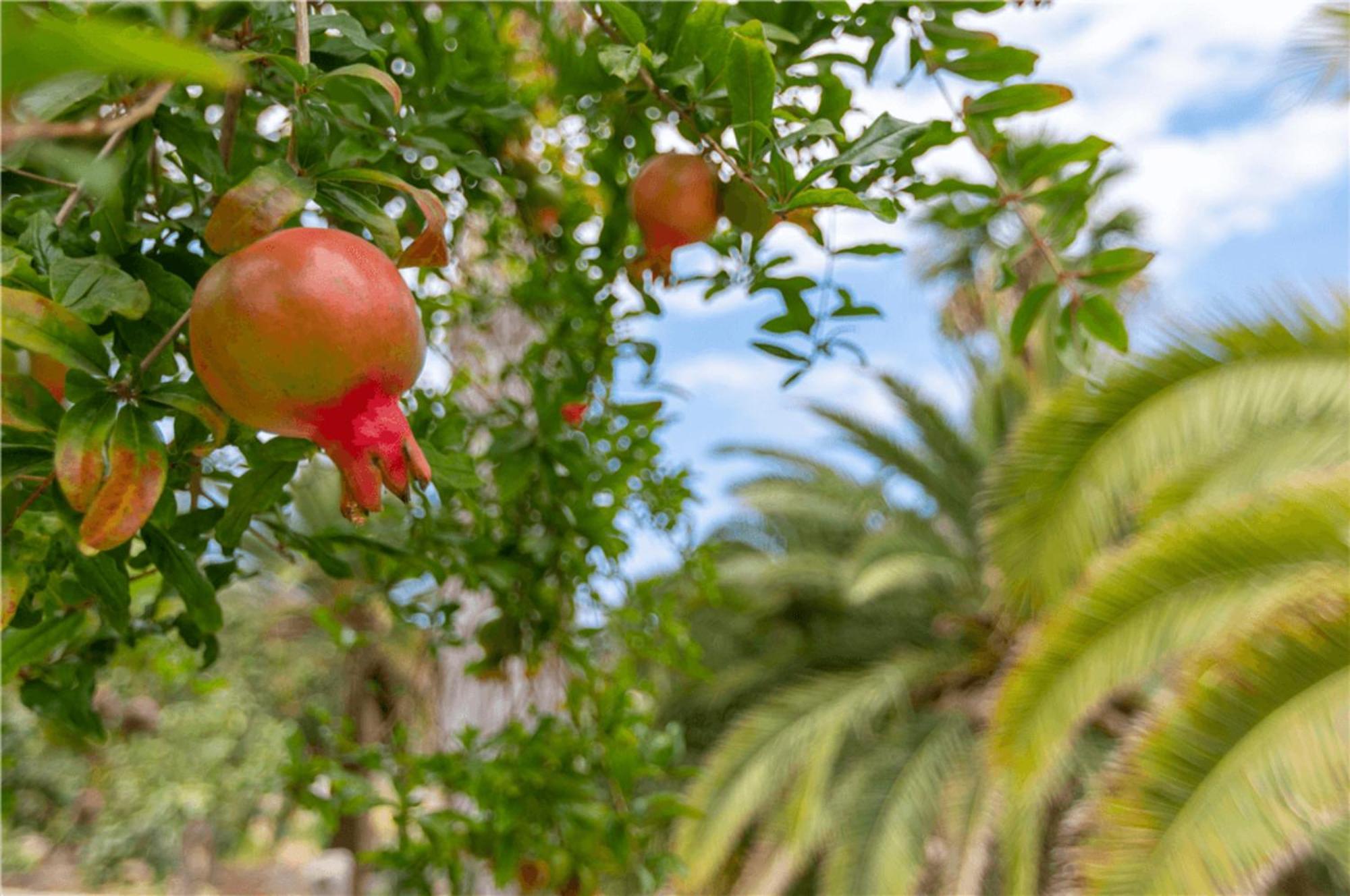 Paraiso Del Molinero Bajo Mogán 外观 照片